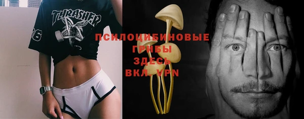 PSILOCYBIN Алексеевка