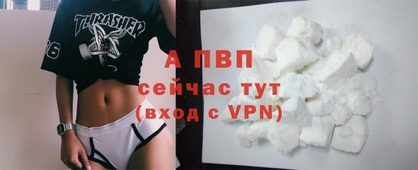 спайс Абаза