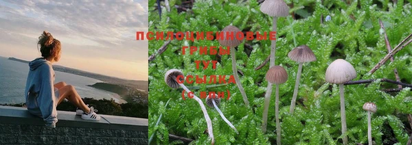 PSILOCYBIN Алексеевка