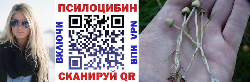 Галлюциногенные грибы ЛСД  Братск 